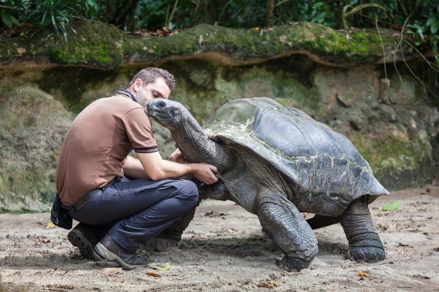 Schildkröten in Florida - Zoos und Aquarien