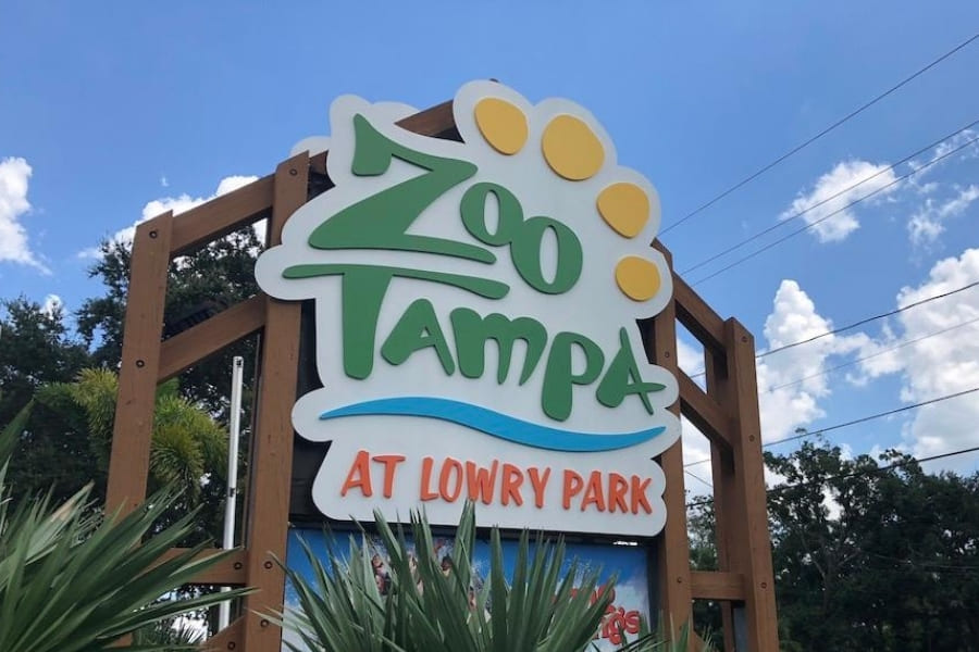 Zoos in Florida Zoo Tampa Florida Urlaub in Florida